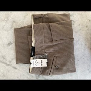 Express slacks/dress pants